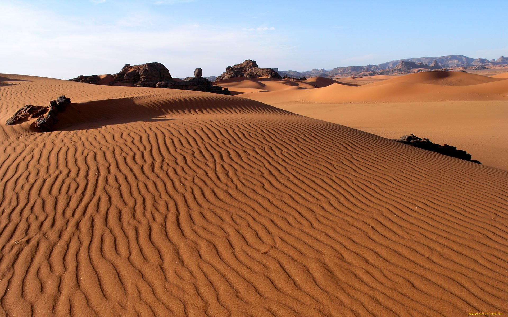 Пустыня. Песчаные пустыни. Пустиния. Пустыня обои.